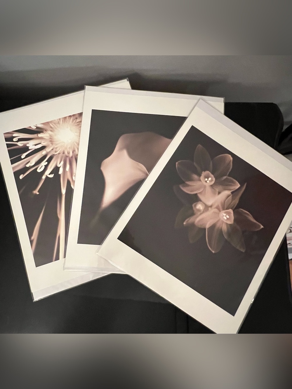 Melissa Springer “Blooms” Photo Trio Set for Southern Living at Home NEW